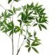 �ѥ��� ȯ��� money tree �ե��������꡼�� �緿 �͹����տ�ʪ ¤�� ����ƥꥢ���꡼�� �ץ�󥿡��դ� H185cm ���տ�ʪ �������� ��ʪ PRGR-1602 GREENPARK ����̵�� 