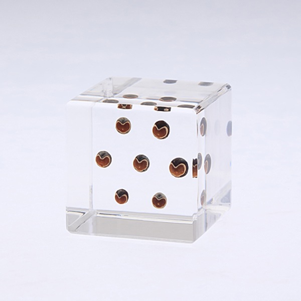 �ե����󥫥��� Sola cube �� ���饭�塼�� �������Υͥɥ� ������� ����ƥꥢ ɸ�� Ʃ�� ��ʪ ��ʪ ���ꥢ �ץ쥼��� ���� ���� ��åԥ� ���ե� Ȣ ���꡼�� �ץ��� ���� �޴� �İ��� ��ΤҤ� ���쥤 Ȣ ������� ���� ����̵�� ��åԥ��б� 