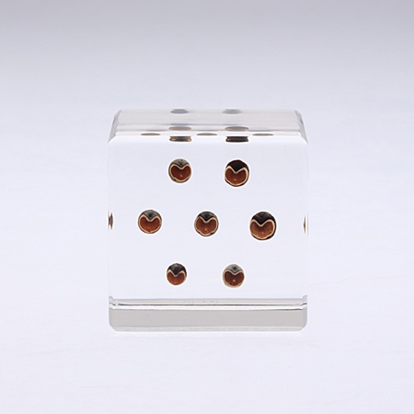 �ե����󥫥��� Sola cube �� ���饭�塼�� �������Υͥɥ� ������� ����ƥꥢ ɸ�� Ʃ�� ��ʪ ��ʪ ���ꥢ �ץ쥼��� ���� ���� ��åԥ� ���ե� Ȣ ���꡼�� �ץ��� ���� �޴� �İ��� ��ΤҤ� ���쥤 Ȣ ������� ���� ����̵�� ��åԥ��б� 