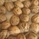 �¤���� �� ���դ� 10kg ������ ���˥���� ���� �᡼���� �б� ��긩�� �� �ʥå� ̵�� ̵ź�� ���ե� �� ��̣���� �ȥåԥ� �²ۻ� �����ٱ� ����̵�� 