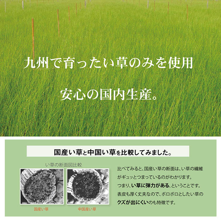 ������ ���� �٥ӡ� �ޥå� �ǥ˥ॹ���� 70��120cm ���� ���ͤ�� ���뿲 �Ҷ��� �٥ӡ��� ����� ���� �ý� �� �л��ˤ� �����ˤ� �����ҥ� ikehiko ����̵�� 