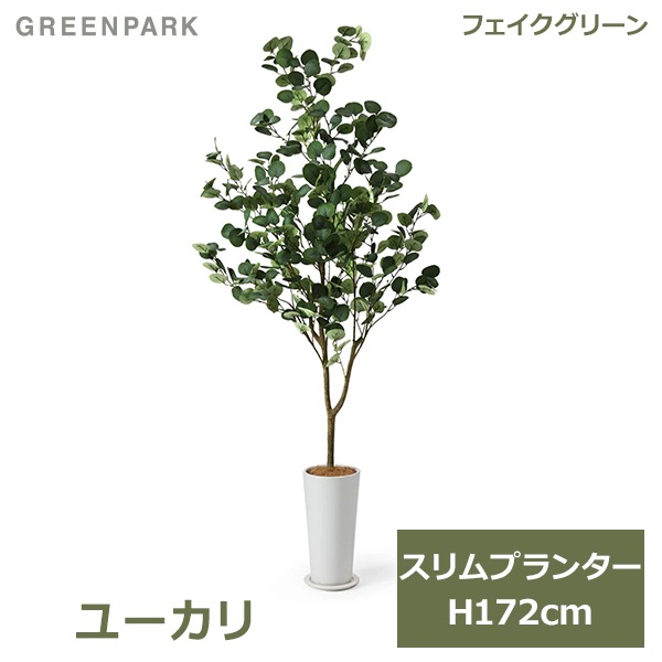 �ե��������꡼�� ���տ�ʪ �͹����տ�ʪ ¤�� �緿 ���꡼�� �桼���� �����ץ�󥿡� H172cm ����ƥꥢ ȭ�դ� ������� ���ե� ��ʪ PRGR-1256 GREENPARK ����̵�� 