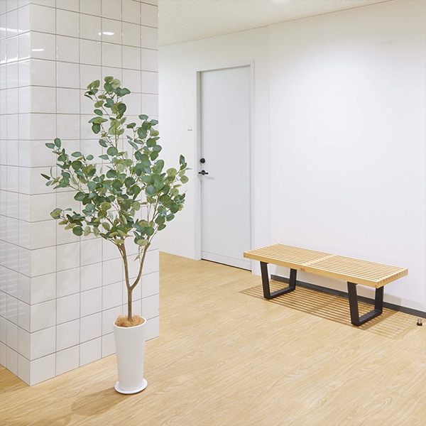 �ե��������꡼�� ���տ�ʪ �͹����տ�ʪ ¤�� �緿 ���꡼�� �桼���� �����ץ�󥿡� H172cm ����ƥꥢ ȭ�դ� ������� ���ե� ��ʪ PRGR-1256 GREENPARK ����̵�� 