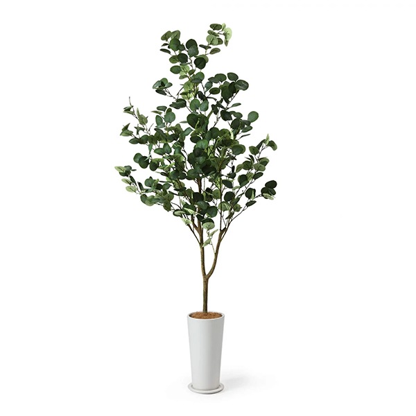 �ե��������꡼�� ���տ�ʪ �͹����տ�ʪ ¤�� �緿 ���꡼�� �桼���� �����ץ�󥿡� H172cm ����ƥꥢ ȭ�դ� ������� ���ե� ��ʪ PRGR-1256 GREENPARK ����̵�� 