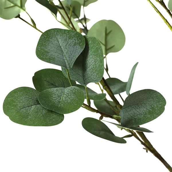 �ե��������꡼�� ���տ�ʪ �͹����տ�ʪ ¤�� �緿 ���꡼�� �桼���� �����ץ�󥿡� H172cm ����ƥꥢ ȭ�դ� ������� ���ե� ��ʪ PRGR-1256 GREENPARK ����̵�� 