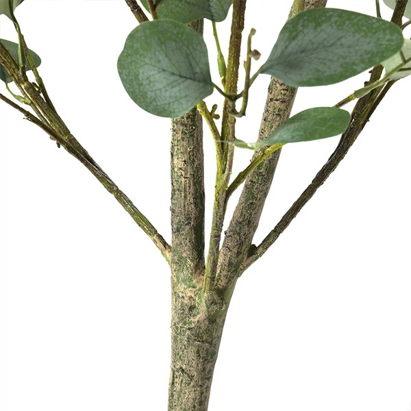 �ե��������꡼�� ���տ�ʪ �͹����տ�ʪ ¤�� �緿 ���꡼�� �桼���� �����ץ�󥿡� H172cm ����ƥꥢ ȭ�դ� ������� ���ե� ��ʪ PRGR-1256 GREENPARK ����̵�� 