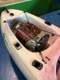 Sea Dog �ɥ饤�Хå��ڥ����ȥ�åȾ��ʡ�