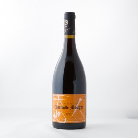 롼ǥ󡡥ܡ롡ߥ奸ˡVT