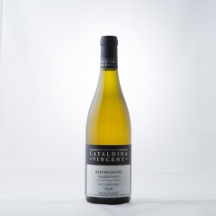 ǥʡ󥵥 ޥ϶襷ɥͻ