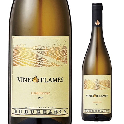 󡦥󡦥ե졼ࡡɥ͡롼ޥ˥