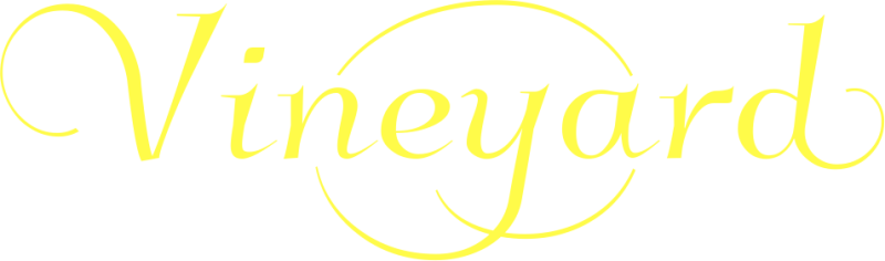 2023 ȡǥ塦 ֥ / Хƥ