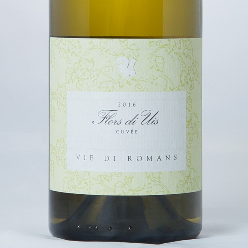 �ե����륹���ǥ���������/V���ޥ�