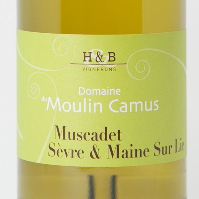 ߥ她ǡ֥롦᡼̡塼롦꡼