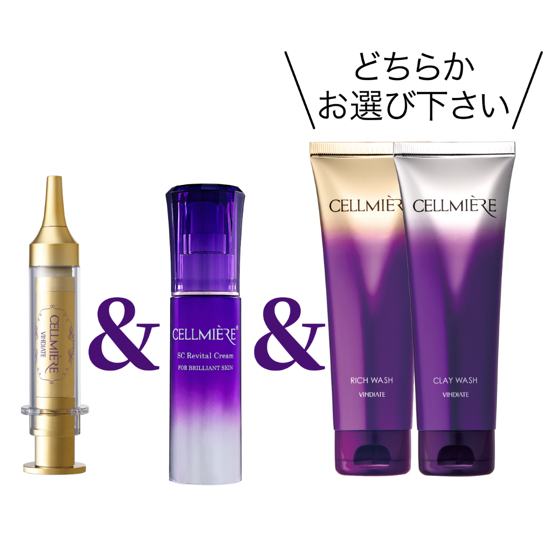 �ڥ��åȡۥץ�ߥ���ʶ˾奱�����å�