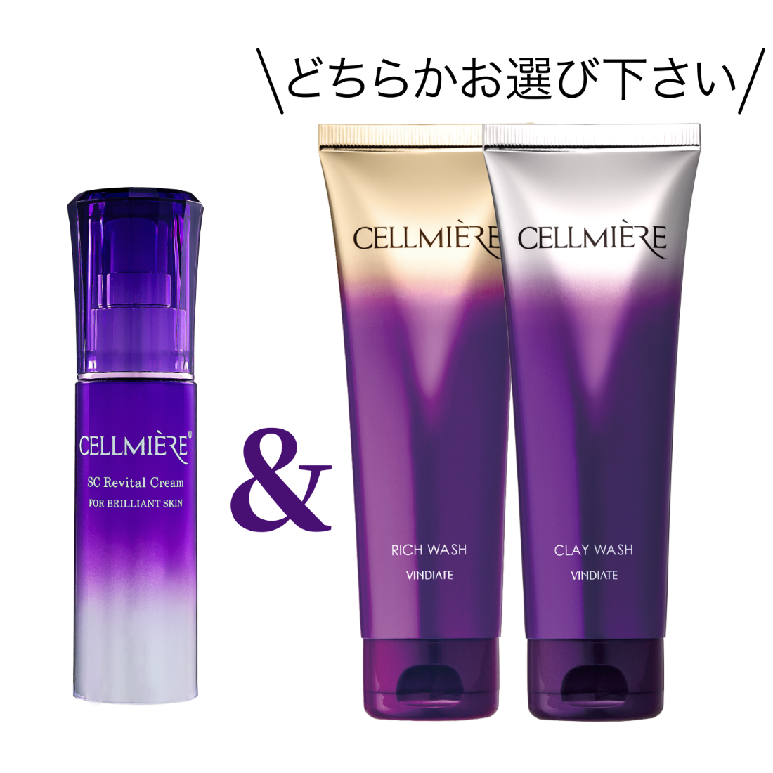 �ڥ��åȡ۰���Ū�ʥ������󥰥������å�