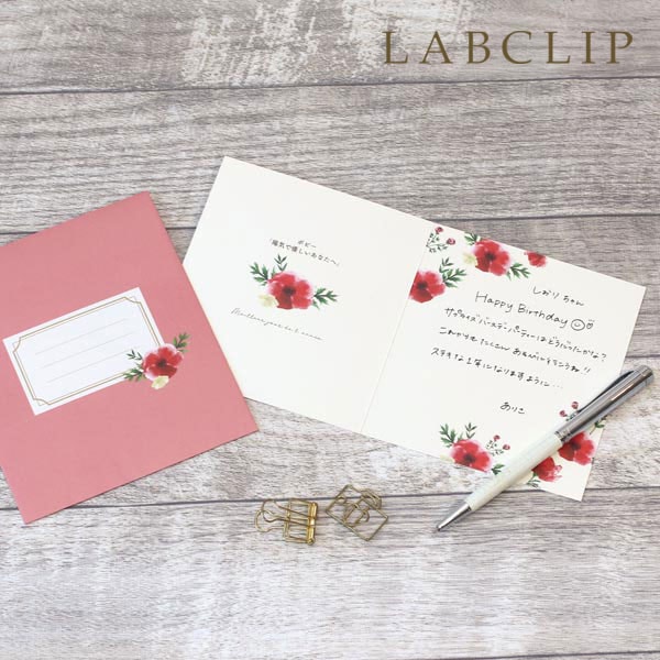 ��LABCLIP/��ܥ���åס۲ָ��� �С����ǡ������� LAB-57