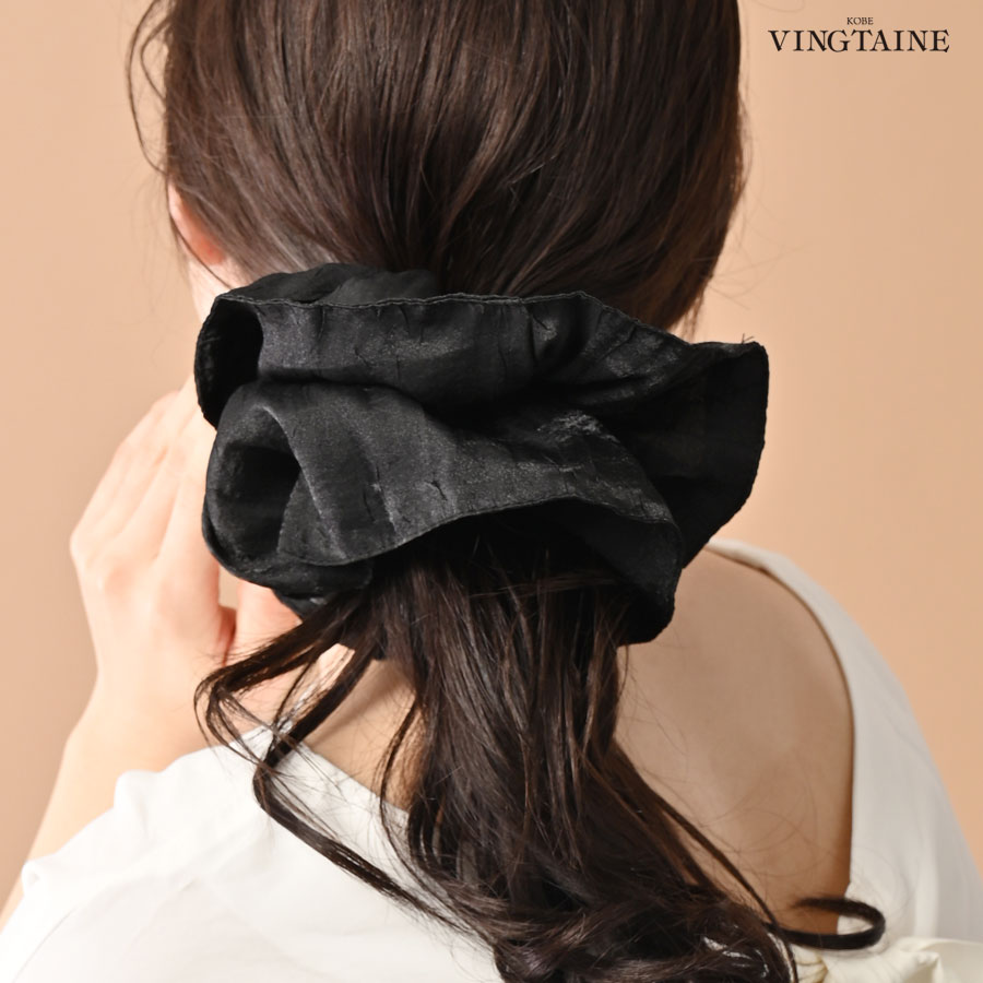 �ӥå�����ù����奷��  HS-207