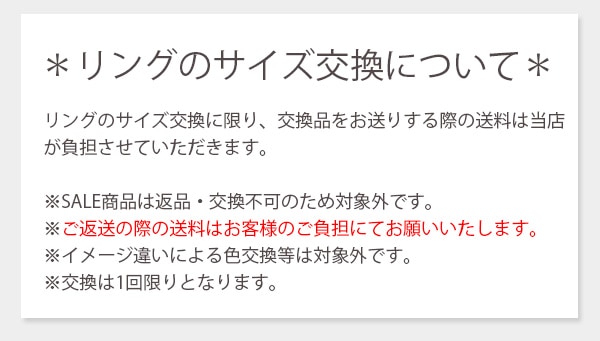 ���塼�ӥå����륳�˥��ߥѡ����� ����R-23 