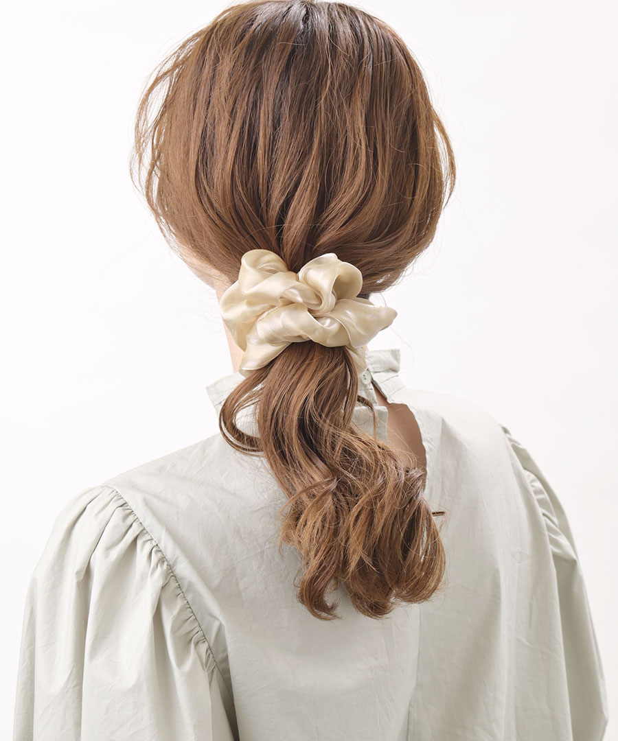 ���㥤�ˡ��������󥸡����奷�� HS-169