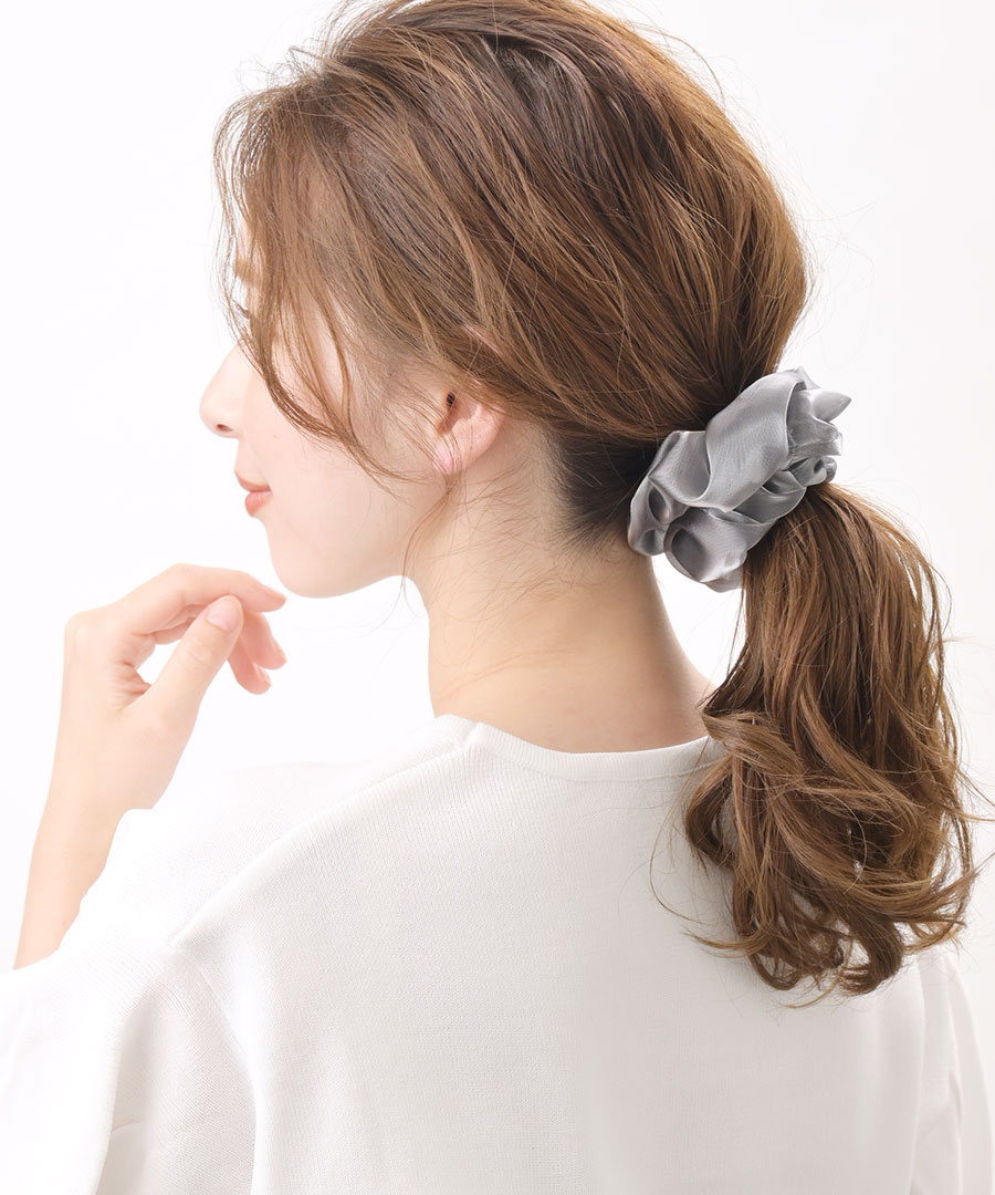 ���㥤�ˡ��������󥸡����奷�� HS-169