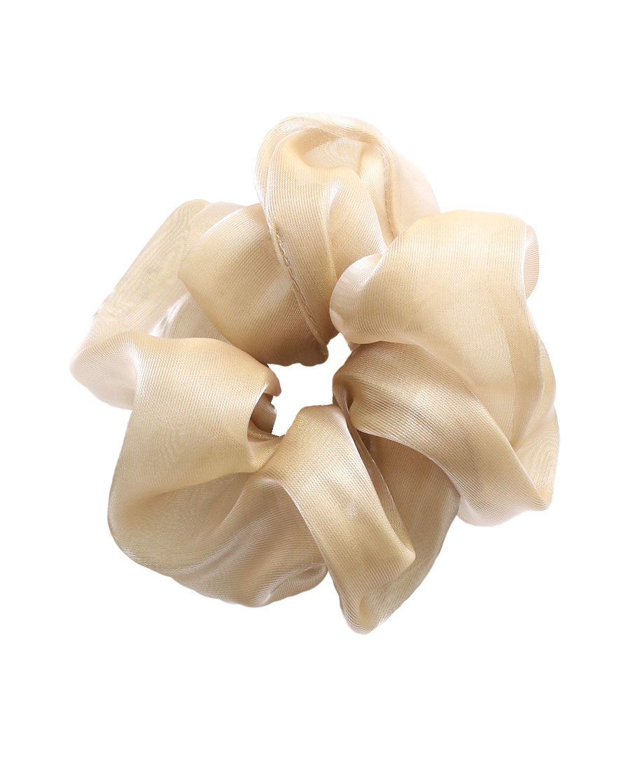 ���㥤�ˡ��������󥸡����奷�� HS-169