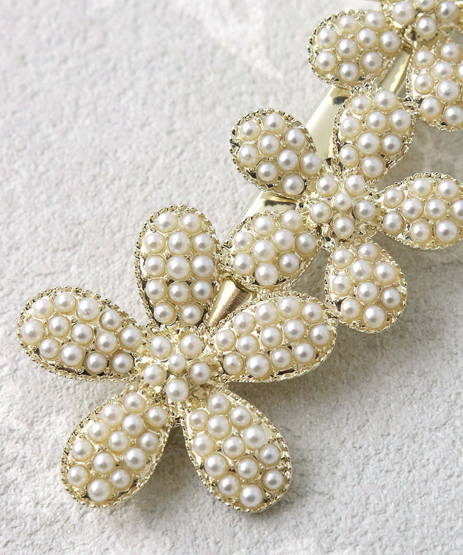 �ѥ�������γ�ѡ��� �ե��إ�����å� H7961