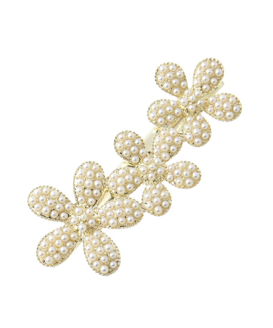 �ѥ�������γ�ѡ��� �ե��إ�����å� H7961