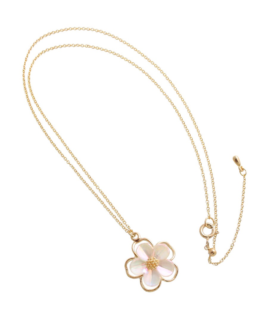 ���������ե��ͥå��쥹 C3342