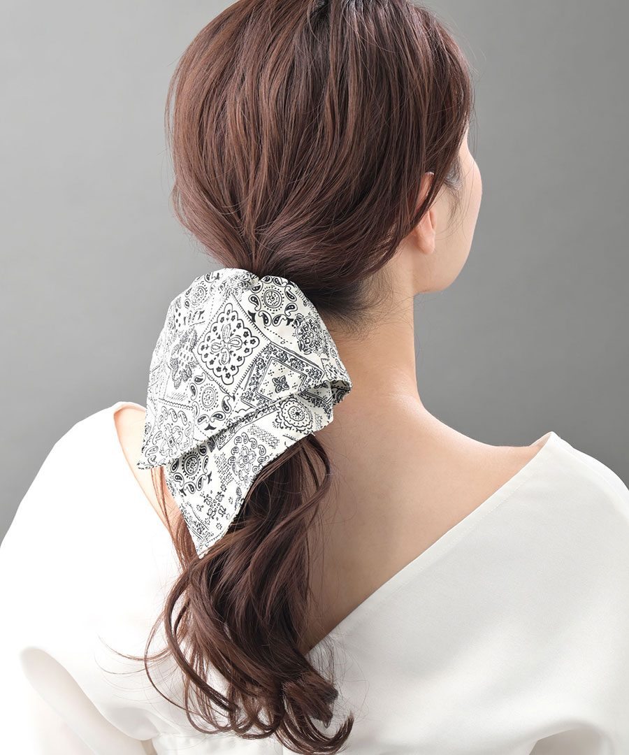 �����������奷�� ��Υȡ��� �������� HS-230