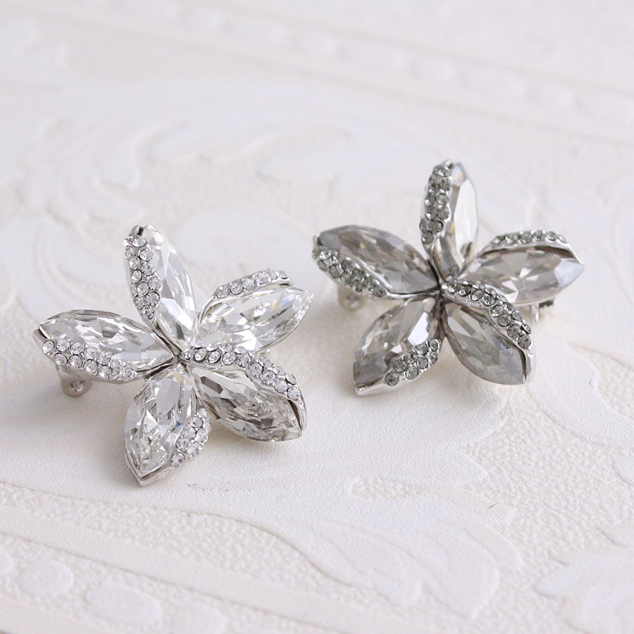 �ե��֥����� BR-79 