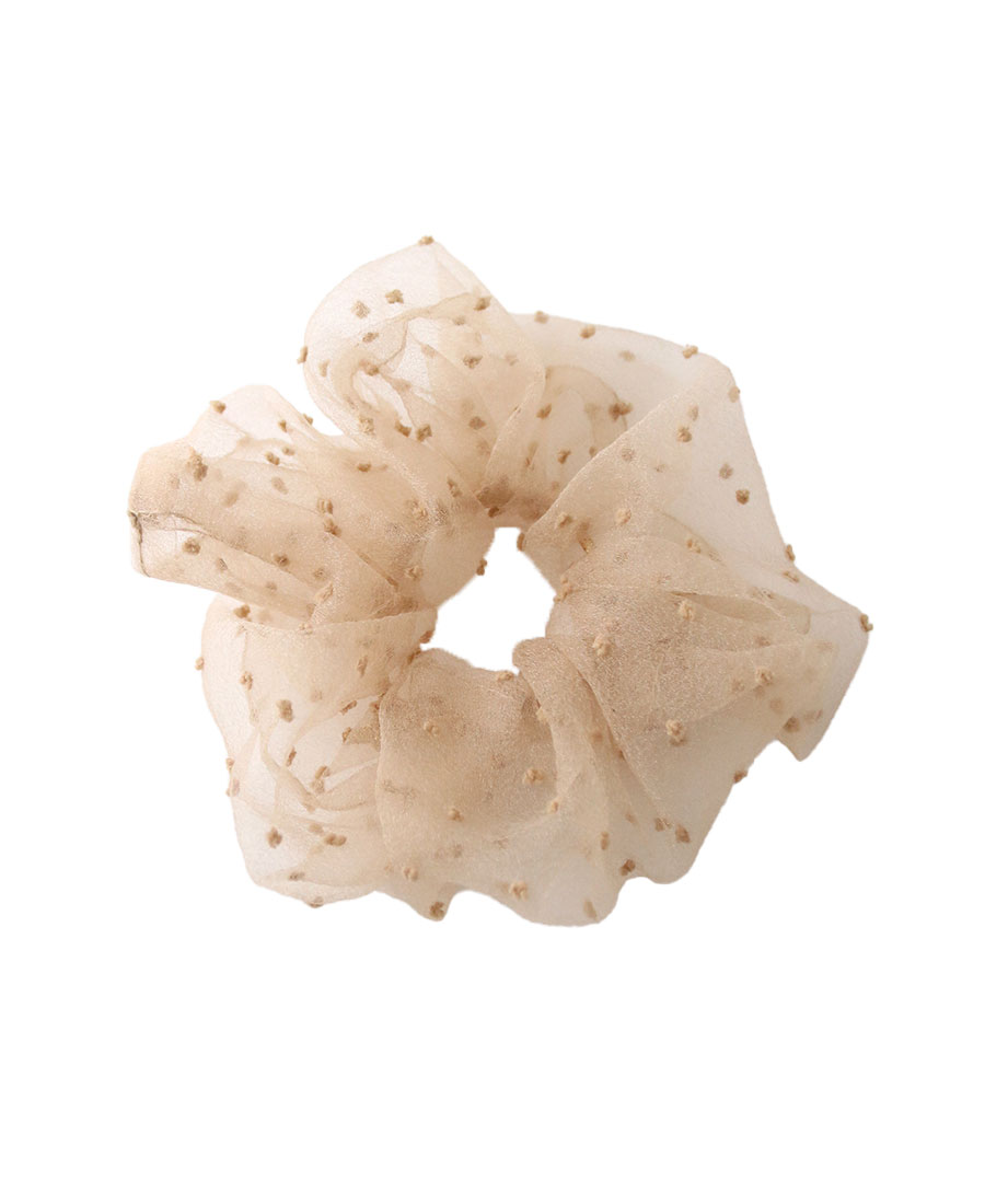 �������󥸡��ɥåȥ��奷�� HS-221