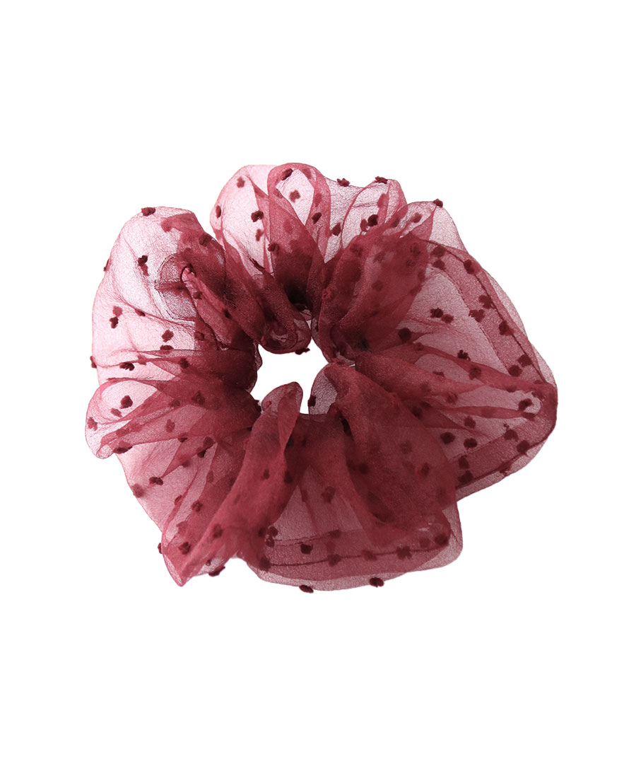 �������󥸡��ɥåȥ��奷�� HS-221