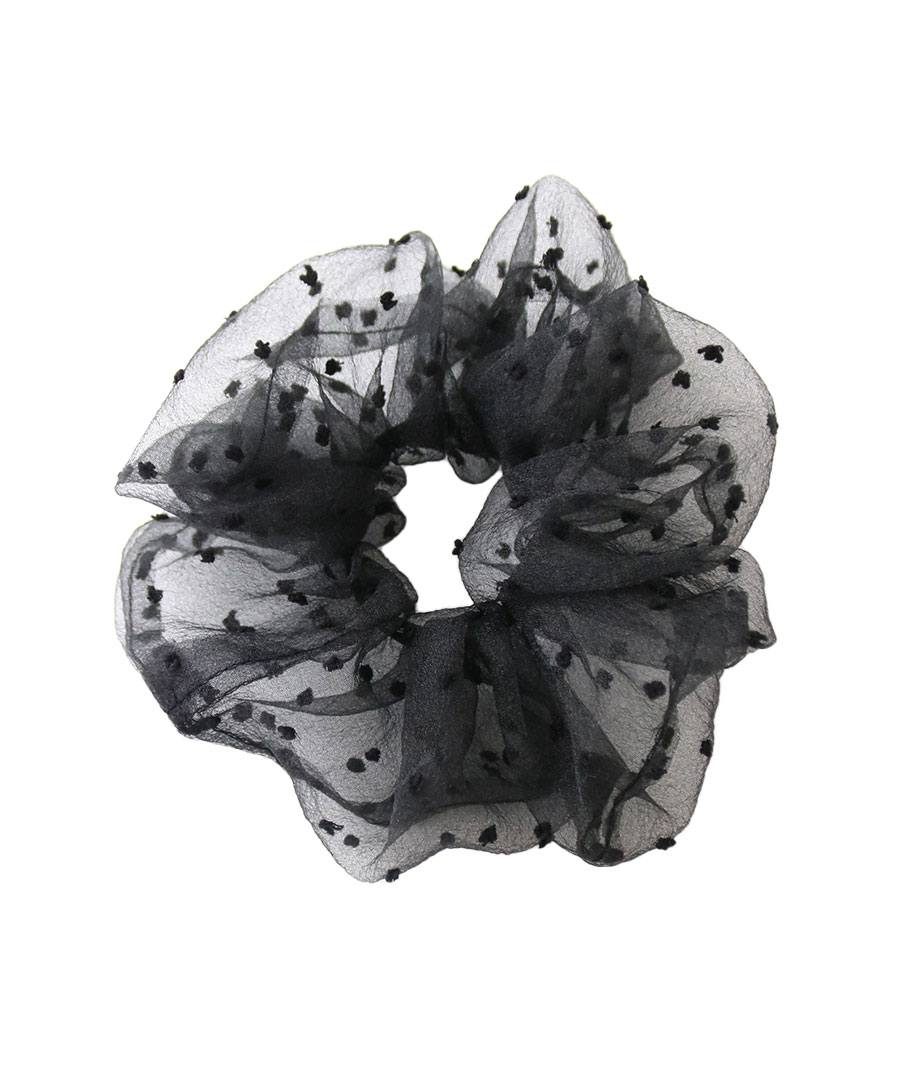 �������󥸡��ɥåȥ��奷�� HS-221