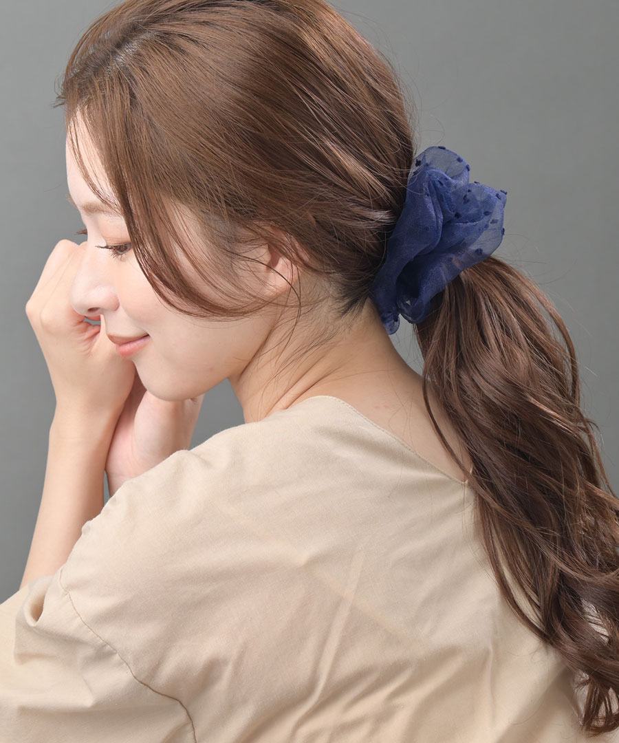 �������󥸡��ɥåȥ��奷�� HS-221