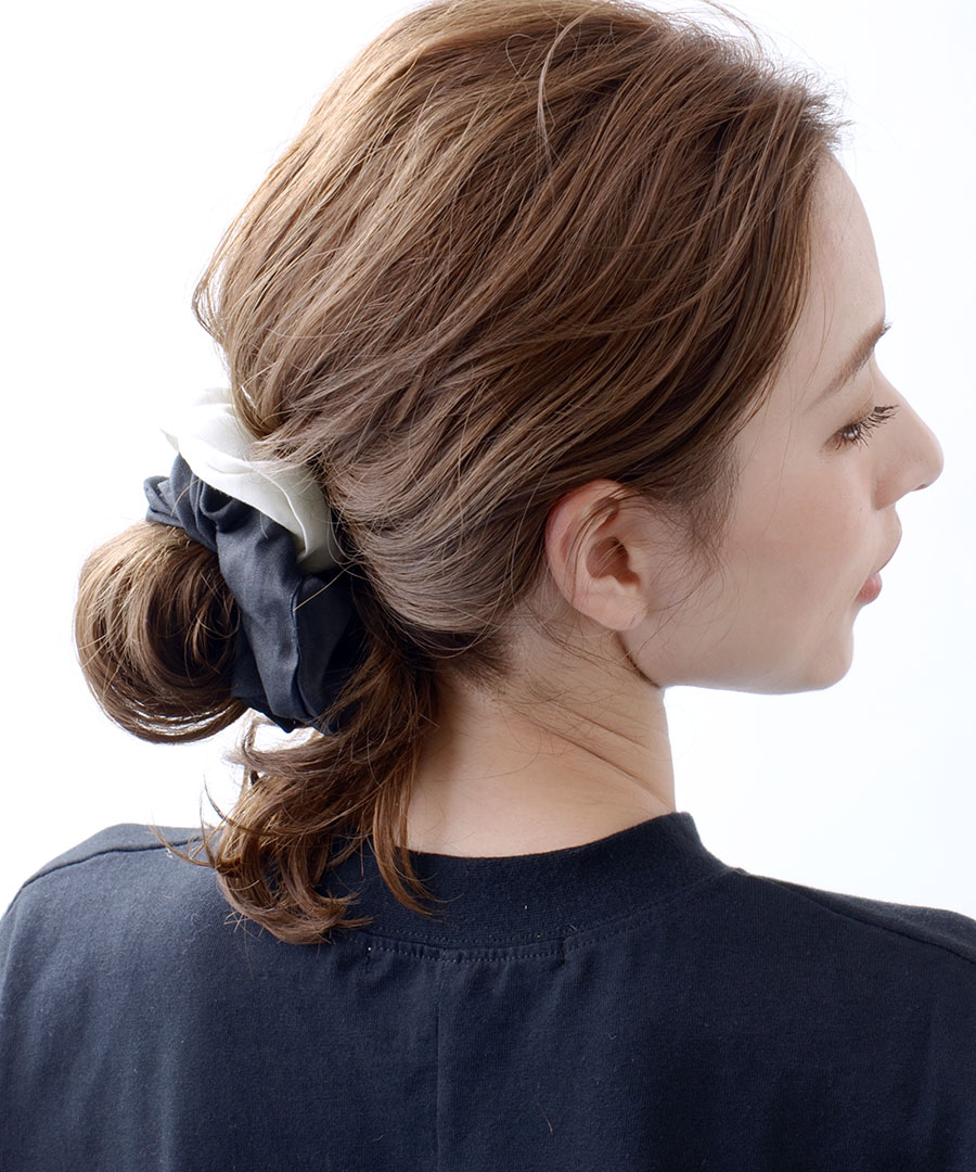 �Х����顼��ͥ󥷥奷��  HS-138