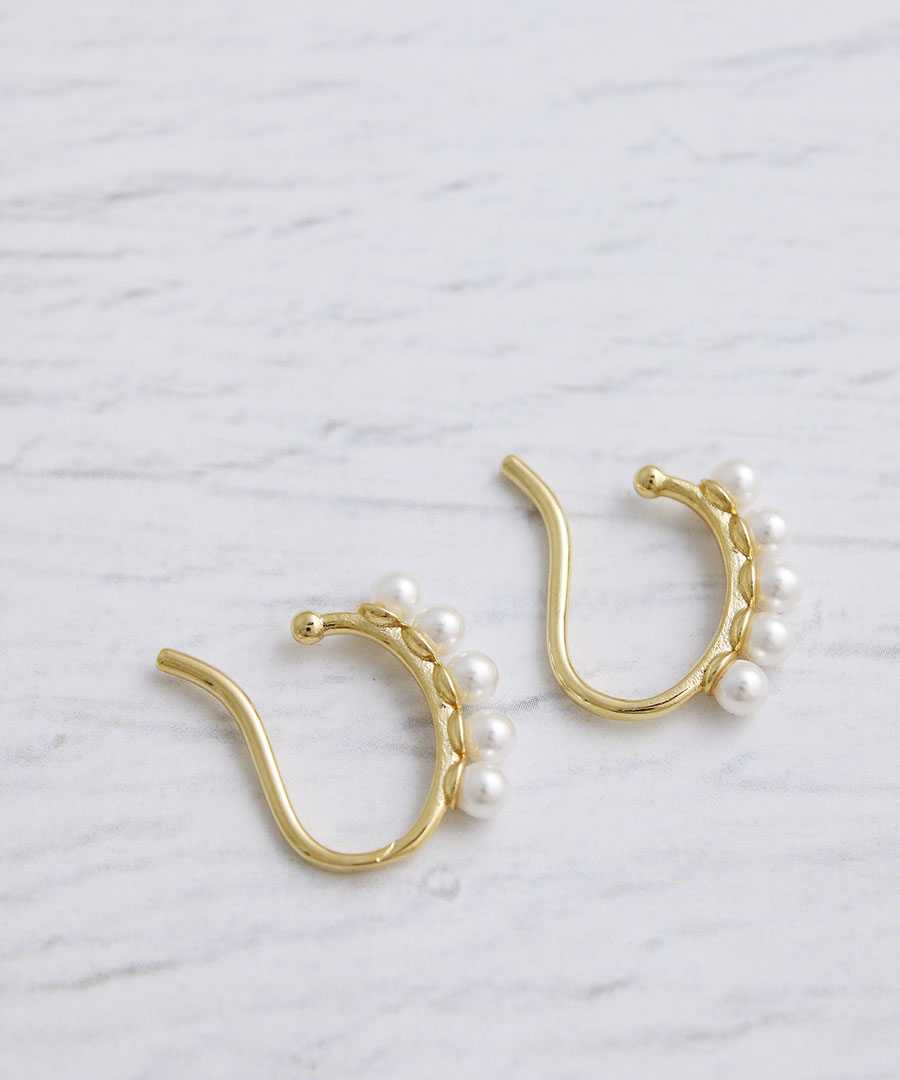 �ѡ����դ��ߥ˥��䡼���� E2100