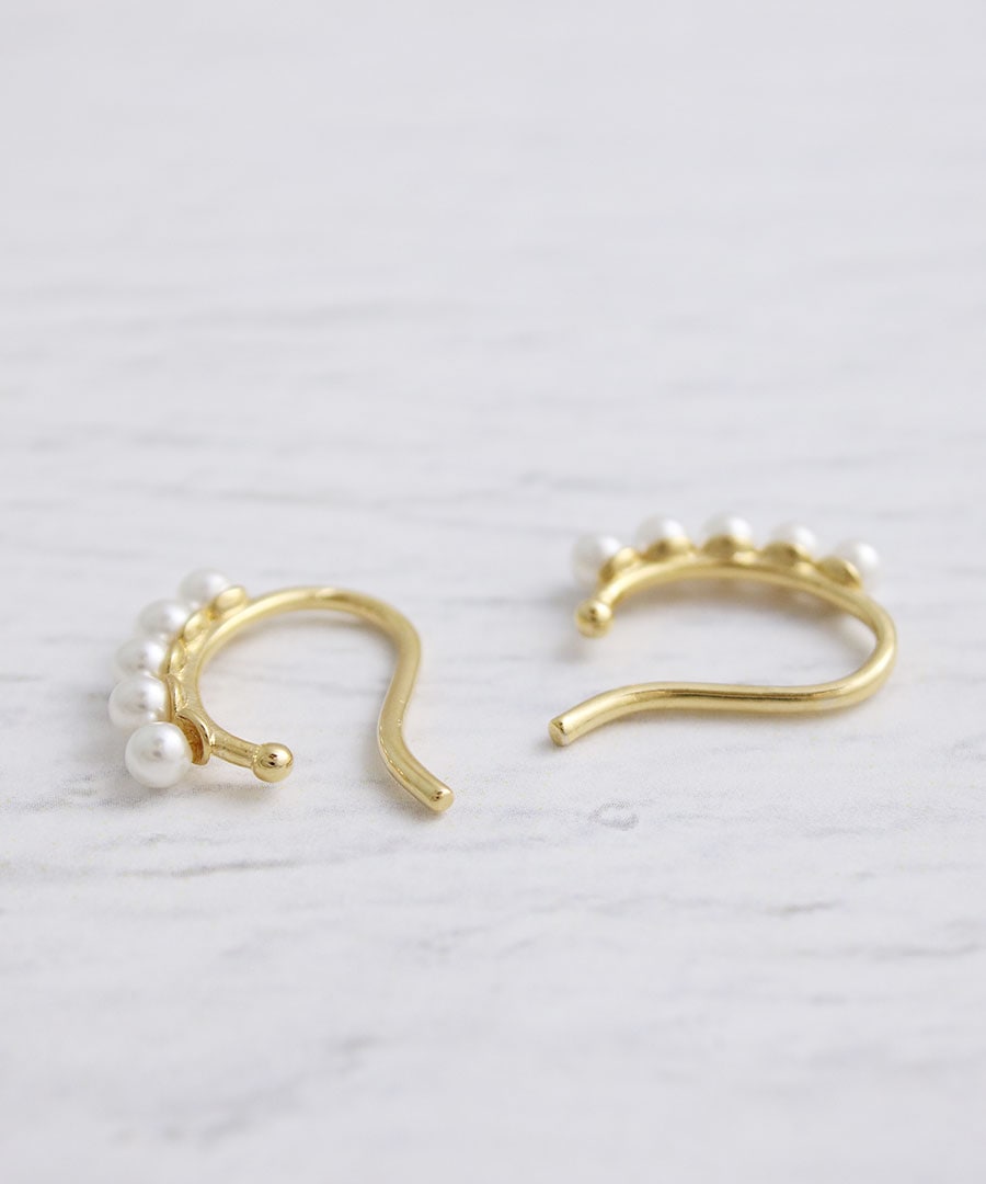 �ѡ����դ��ߥ˥��䡼���� E2100