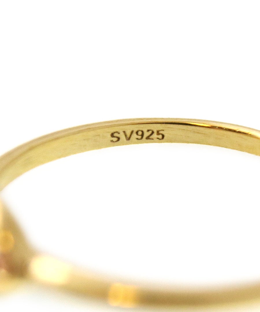 Silver925 ��γ���塼�ӥå����륳�˥����  SVR202