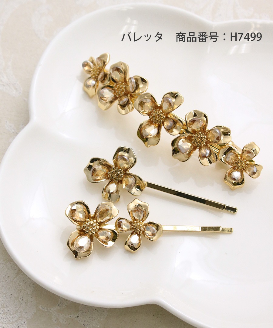 �ӥ��塼�ե��إ��ԥ��2�ܥ��å�)  H7498