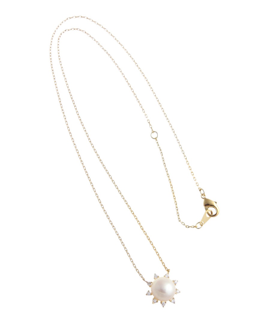 ������ý����ݥ����10�ܡ��ͥ��ݥ�����̵����γø��ѡ���ߥ��塼�ӥå����륳�˥��ͥå��쥹 C3133 