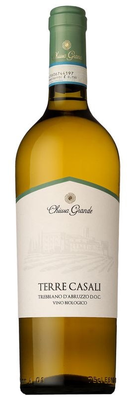 �ƥå� �������� �ȥ�åӥ����� ���֥�åĥ� ���塼�� ������  2023