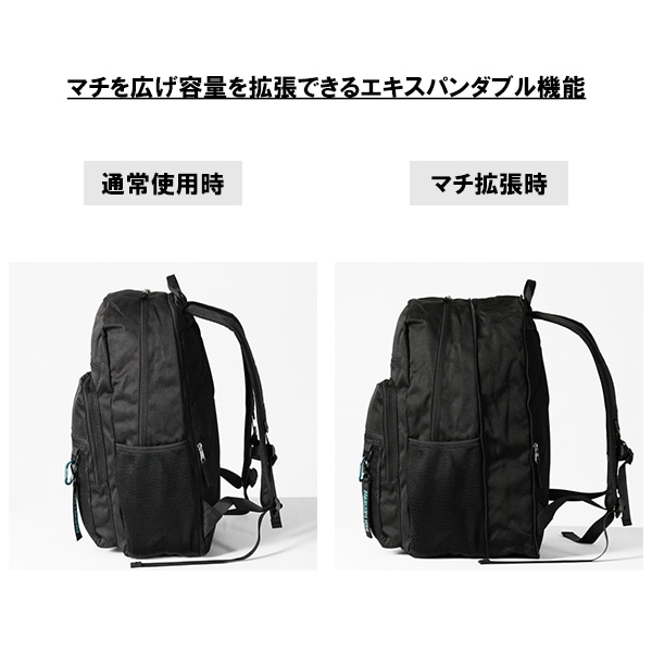 ベンデイビス BEN DAVIS バックパック EXPANDABLE DAYPACK エクスパン