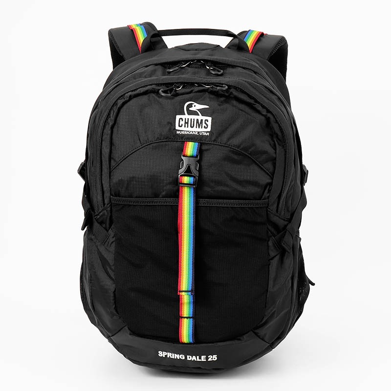 CHUMS SPRING DALE 25 ブラック リュック チャムス CHUMS バックパック スプリング デール 25 Spring Dale 2way
