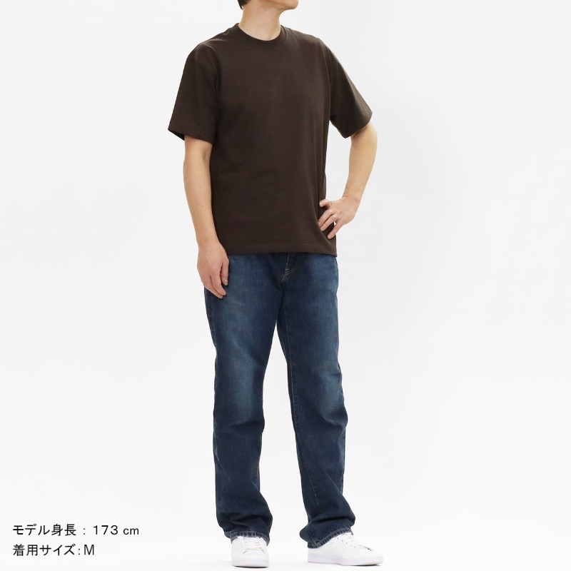ヘインズ Hanes Tシャツ 半袖 ビーフィーT BEEFY-T クルーネック ヘビーウェイト 丸胴仕様 メンズ レディース トップス  2026SS 無地 S/M/L ダークブラウン HM1-D001 870 | ブランド [正規取扱店]