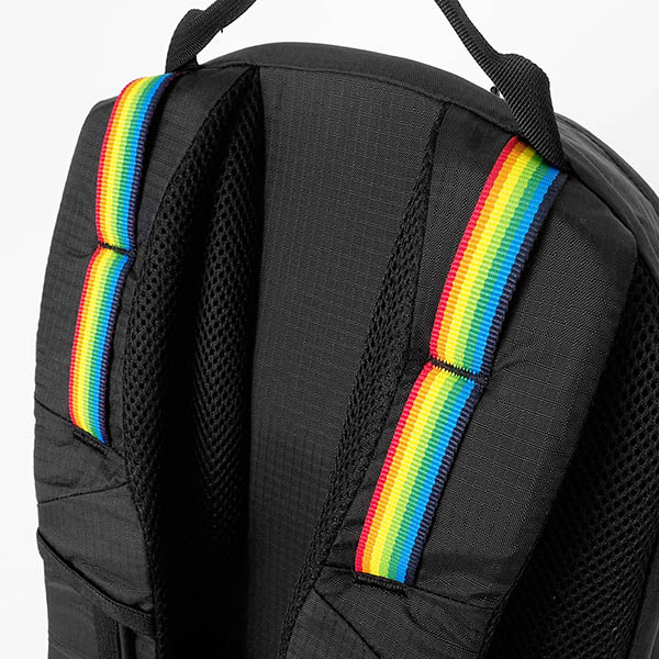 新品　チャムス　スプリングデールSpring Dale 20 リュック　ブラック Spring Dale 20/スプリングデール20(デイパック｜リュック)(One