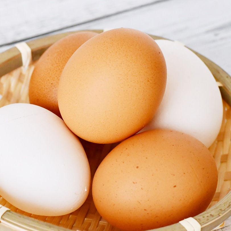 【国産地鶏】ふぞろい卵・8個セット