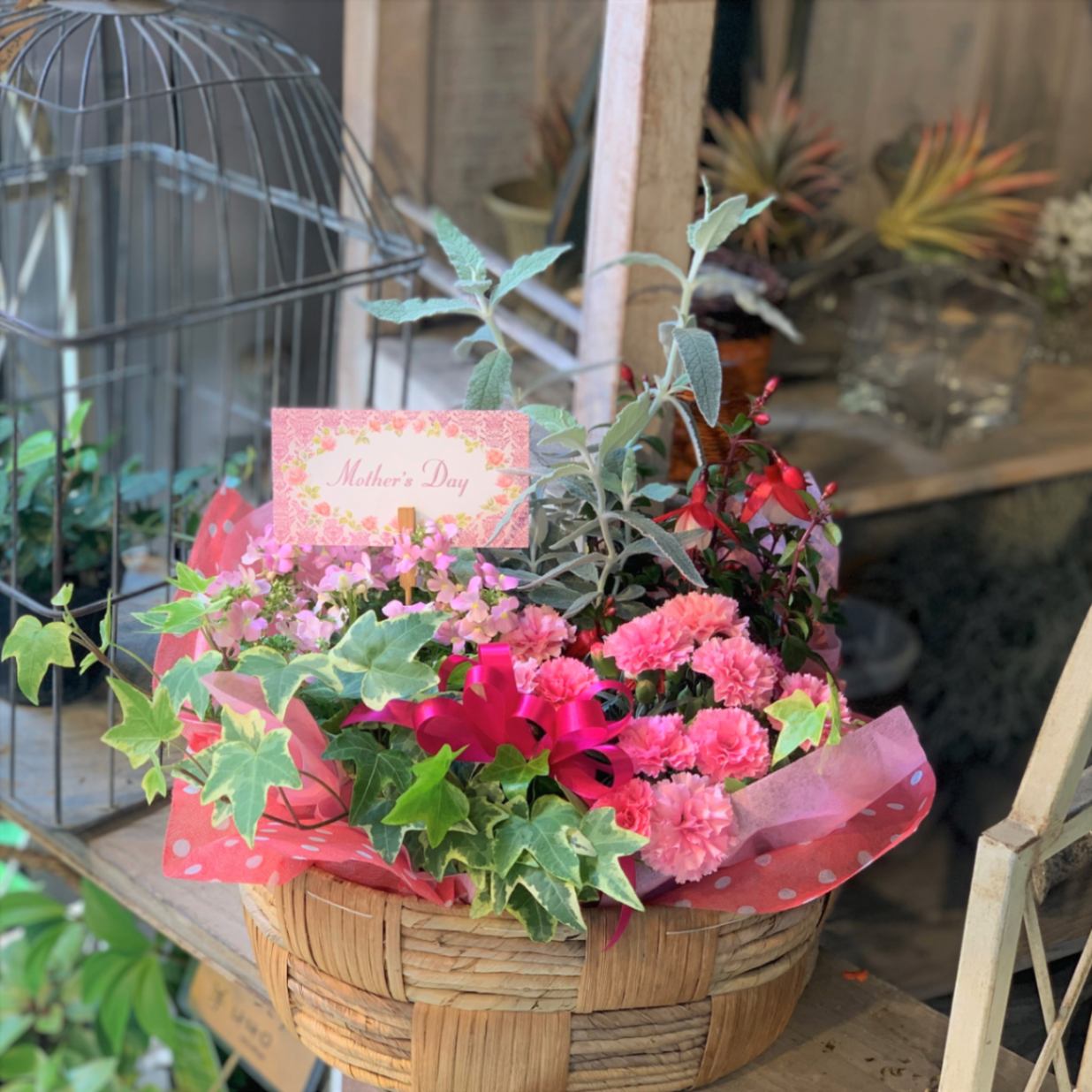 母の日ギフト【季節の花寄せバスケット　約5種類】　宅配便限定商品