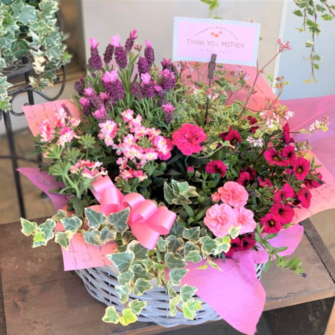 母の日ギフト【季節の花寄せバスケット　約7種類】 宅配便限定商品