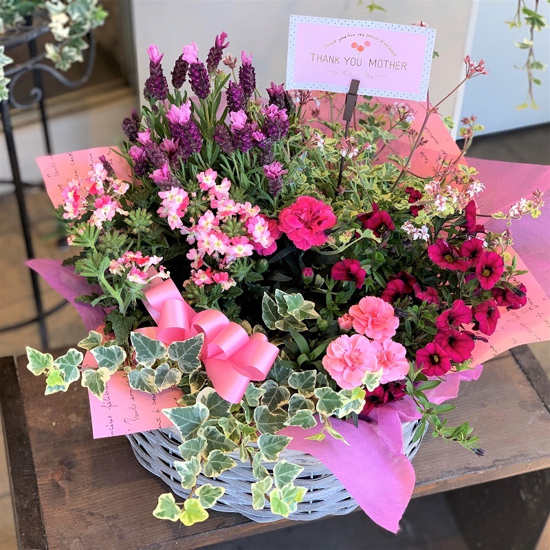母の日ギフト【季節の花寄せバスケット　約7種類】 宅配便限定商品