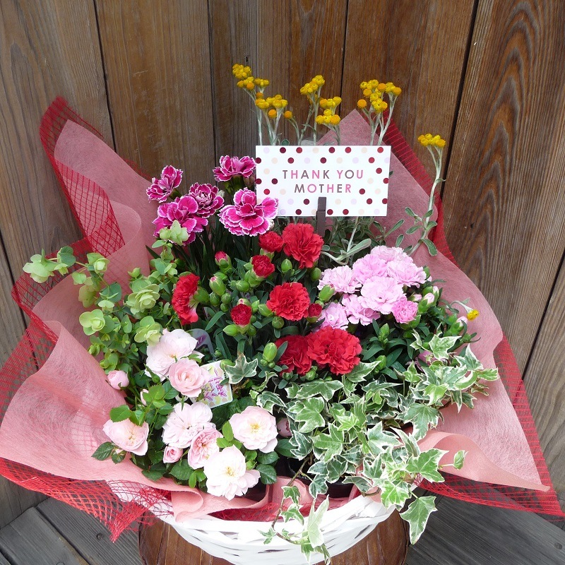 母の日ギフト【季節の花寄せバスケット　約7種類】 宅配便限定商品